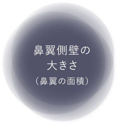 鼻翼側壁の大きさ（鼻翼の面積）