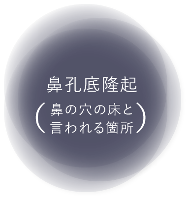 鼻孔底隆起鼻の穴の床と言われる箇所