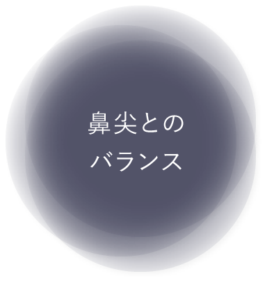 鼻尖とのバランス