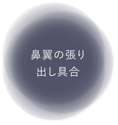 鼻翼の張り出し具合