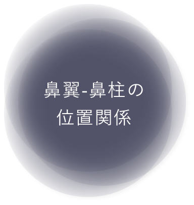 鼻翼-鼻柱の位置関係