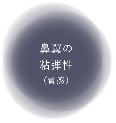 鼻翼の粘弾性(質感)